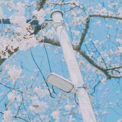 极品飞车最高通缉ol手游下载